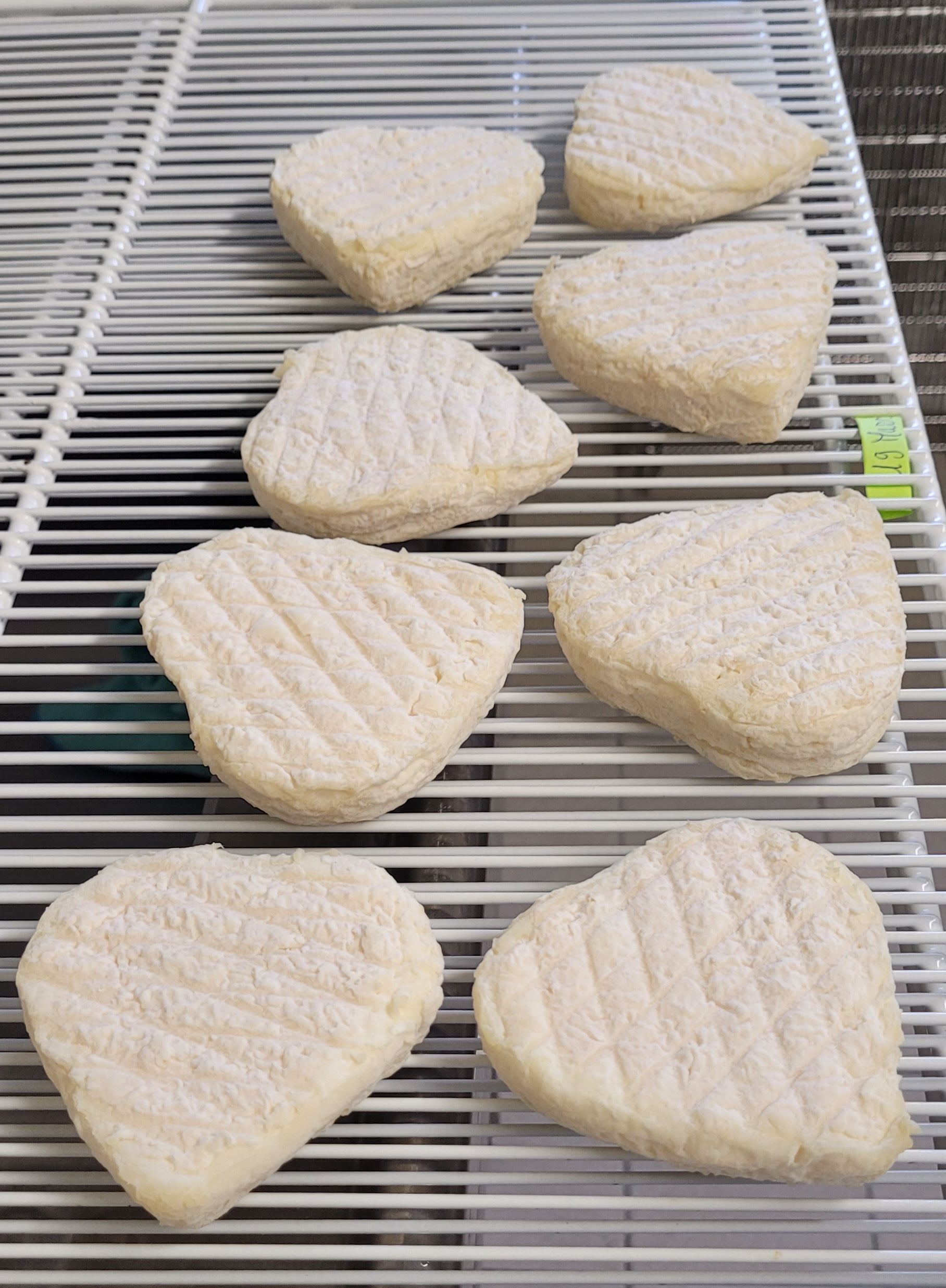 Fromage de brebis le "cœur de kéfir"