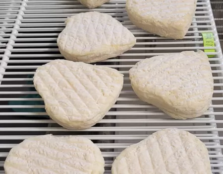 Fromage de brebis le "cœur de kéfir"