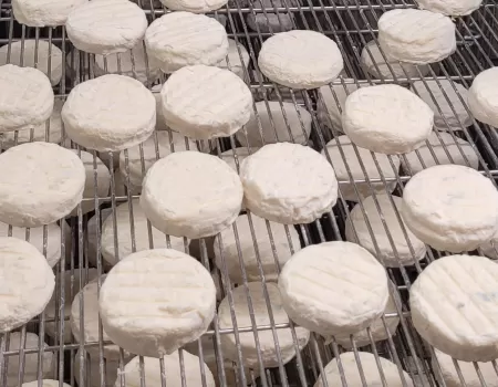 Fromage de chèvre