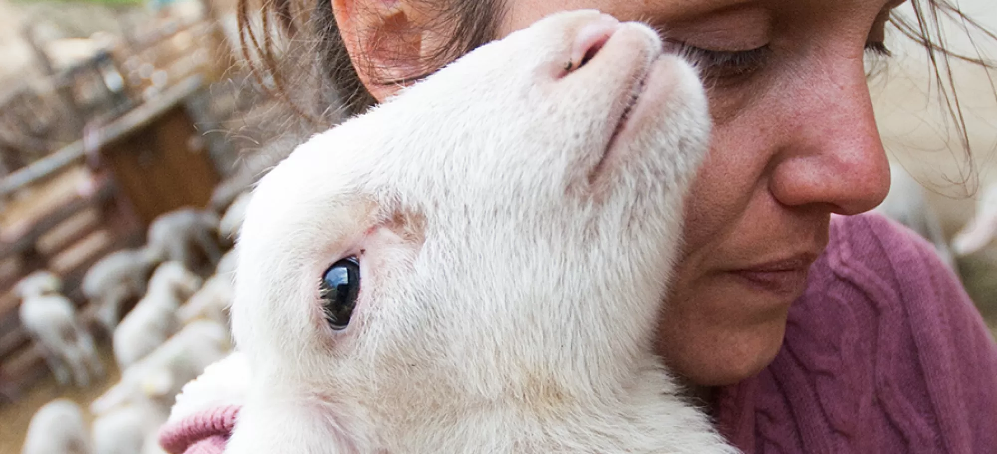 Calin
