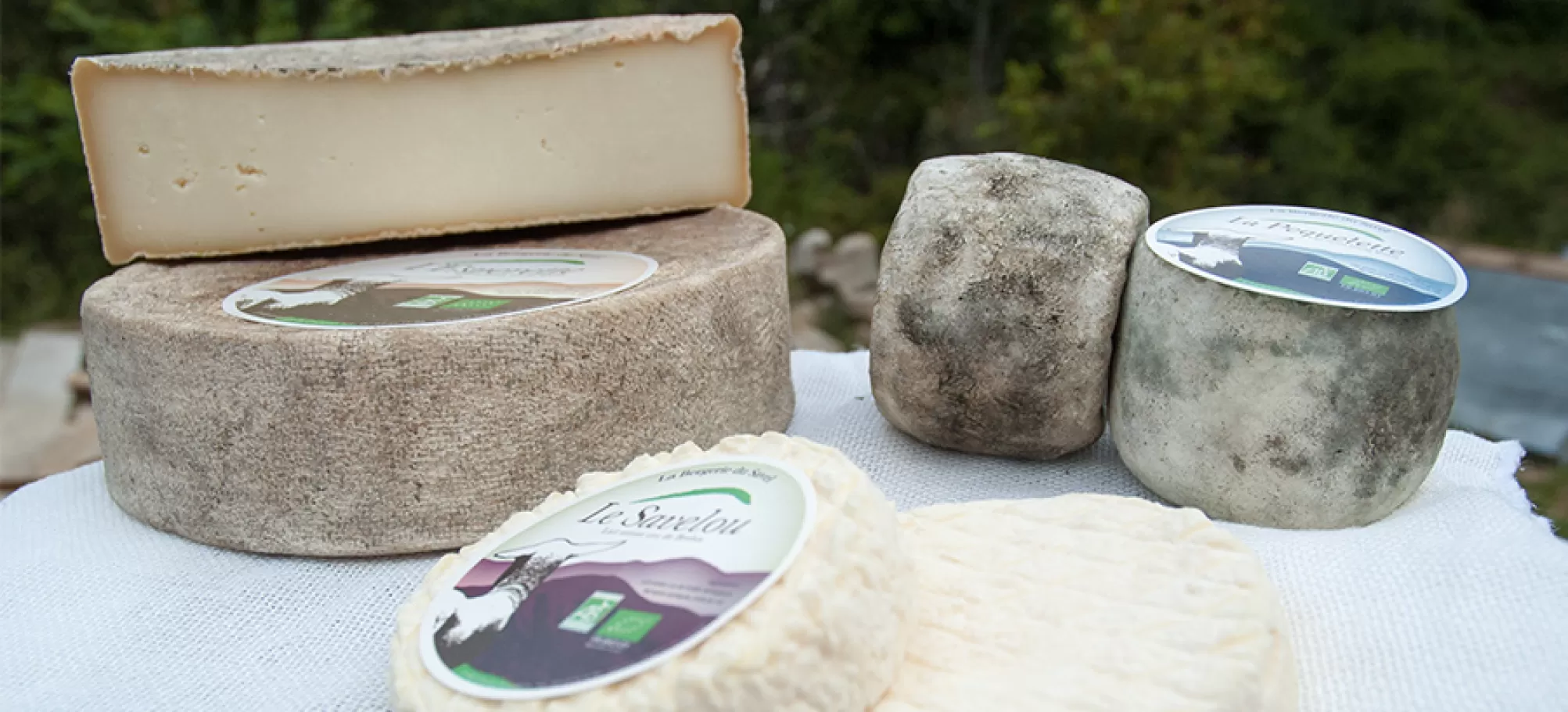 fromages
